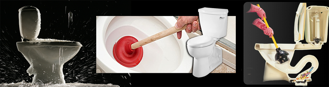 images/clog-toilet